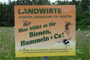 Schild Ammerland