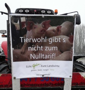 Tierwohl1 web
